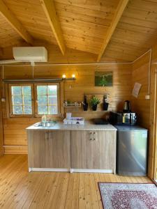 a kitchen with wooden walls and a wooden floor at Villa de Alvydo Anykščiuose in Anykščiai