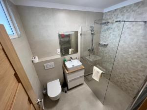 a bathroom with a toilet and a sink and a shower at Apartmány Lucia in Poprad +65 photos