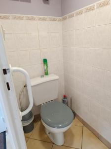 a bathroom with a white toilet in a room at Cottage le petit Tôt in Barneville-Carteret +17 photos