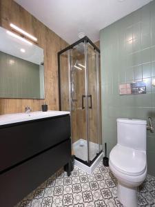 La salle de bains est pourvue d'une douche, de toilettes et d'un lavabo. dans l'établissement Promenade de la Digue, à Verdun-sur-Meuse