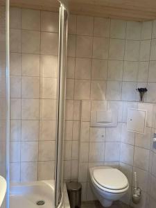 een kleine badkamer met een toilet en een douche bij Ferienwohnung in Antonshöhe, Nahe Stoneman in Antonshöhe