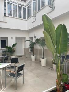 una oficina con plantas, mesas y sillas en La Villa del Sastre en Vélez
