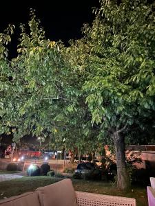 Φωτογραφία από το άλμπουμ του Hotel Sonnenhof στο Σίντελφινγκεν