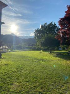 Cascina Vica Biella في Andorno Micca: حقل من العشب مع الشمس في الخلفية