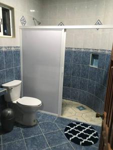 a bathroom with a toilet and a shower stall at Casa Caribe in Bacalar +11 photos