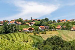 een dorp op een heuvel met wijngaarden en huizen bij Schilcher-Residenz in Steinreib