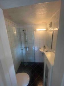 a bathroom with a shower and a toilet and a sink at Cosy apartment with free parking in Bergen