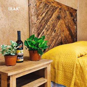 een fles wijn en twee potplanten op een tafel bij Ixak Cabañas 