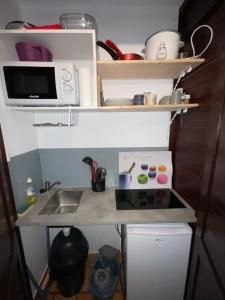 una pequeña cocina con fregadero y microondas en Ananas Premium, en La Trinité