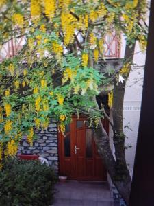 Fotografie z fotogalerie ubytování Roxana vendégház v destinaci Szilvásvárad