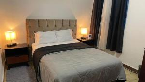 1 dormitorio con 1 cama grande y 2 lámparas en las mesas en Acogedora y confortable habitación cerca del WTC, en Ciudad de México