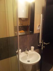 een badkamer met een wastafel en een glazen douche bij Sweet Apartment in Belgrado
