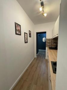 Η κουζίνα ή μικρή κουζίνα στο Luxury Studio +5 φωτογραφίες