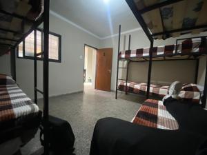Habitación con 2 literas y pasillo. en Urban Jungle Hostel en San Miguel de Tucumán