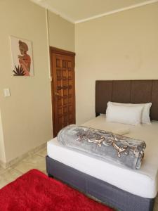 a bedroom with a large bed with a red rug at HUNTERS NEST GUEST HOUSE MAFIKENG in Mahikeng