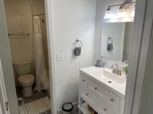a bathroom with a sink and a toilet and a mirror at Casa Wooten - Pet Friendly in Austin
