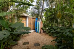 Сад в Blue Surf Sanctuary