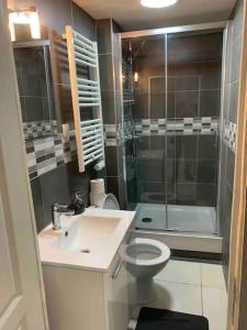 La salle de bains est pourvue d'une douche, de toilettes et d'un lavabo. dans l'établissement Appartement au cœur de centre-ville de Marseille, à Marseille
