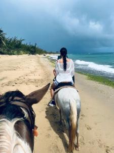 duas pessoas a cavalo na praia em Rincon Retreat,- Close to beach/ Ocean Front em Corcega