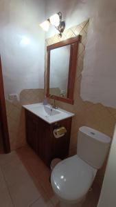 a bathroom with a toilet and a sink and a mirror at Casa Rural LUCÍA in Isora
