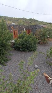 a garden with some plants and a stone wall at Casa Rural LUCÍA in Isora