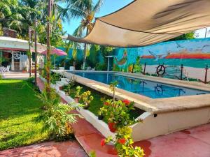 - une piscine avec des plantes et un parasol dans l'établissement Hotel Albatros, à Isla Aguada