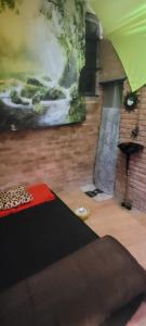 a living room with a painting on the wall at Casadaluz privativo casal in São Thomé das Letras