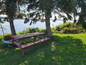 drewniana ławka siedząca pod dwoma drzewami w pobliżu wody w obiekcie Bright Riverfront 3-Bedroom Condo w Montrealu