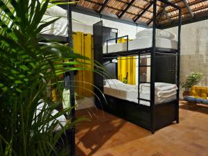 a room with two bunk beds and a plant at beNomadic Eco Hostel, Madikeri, Coorg in Suntikoppa