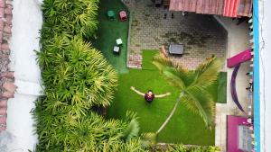 an aerial view of a man standing in a garden at The Pelican Larry Hostel in Cali