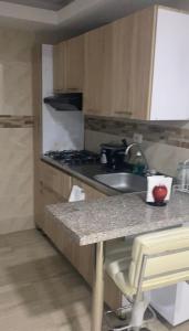 Köök või kööginurk majutusasutuses Hermoso apartamento a solo 15 minutos del parque del cafe