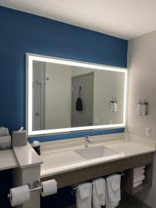 a bathroom with a sink and a large mirror at Holiday Inn Express Hotel & Suites Hiawassee, an IHG Hotel in Hiawassee