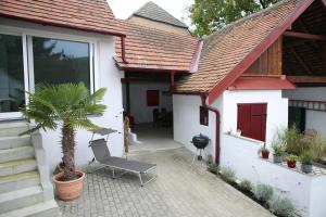 a house with a chair and a palm tree in the courtyard at Schneiders Ferienhaus Pulkau in Pulkau