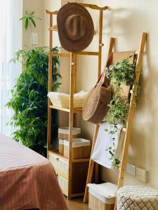a room with a shelf with plants and baskets at Richjones Bed & Breakfast in Manila
