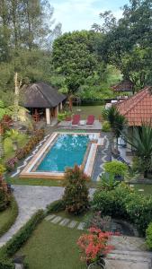 a swimming pool in a yard with a house at Balinese Villa in Berastagi in Berastagi
