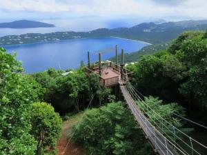 un pont suspendu dans les arbres avec vue sur un lac dans l'établissement Brand New Luxury Private Pool Villa Amber - 5 mins walk to #Sapphire Beach, à East End