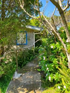 um caminho que leva a uma pequena casa com uma janela azul em Rawhiti Cottage at Kaeppeli's em Kuaotunu