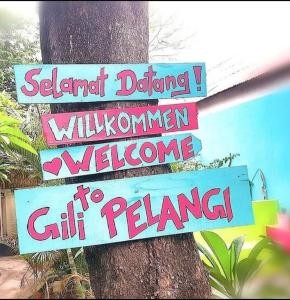 a tree with signs attached to a tree at Gili pelangi in Gili Trawangan