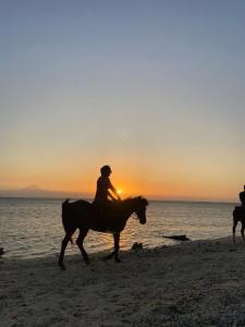 twee mensen die paardrijden op het strand bij zonsondergang bij Gili pelangi in Gili Trawangan