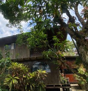 a house with a balcony in the middle of trees at Casa Hospedaje Tingomaria in Tingo María