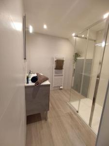 a bathroom with a shower and a sink and a mirror at Appartement Le palais autun in Autun