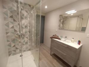 a bathroom with a glass shower and a sink at Appartement Le palais autun in Autun +15 photos