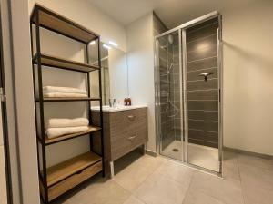ein Bad mit einer Dusche und einem Waschbecken in der Unterkunft studio 3 *** centre village Saint-Jean-de-Sixt in Saint-Jean-de-Sixt