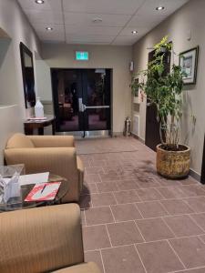 a lobby with couches and a potted plant in a building at Cozy Sweet Studio #2. Ten minutes to D.T Ottawa in Gatineau