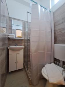 y baño con aseo, lavabo y ducha. en IDR HOUSE en Buzău