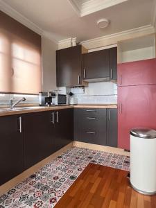a kitchen with black cabinets and a red wall at Apartamento Cantabrico vistas a la Ría deRibadeo in Ribadeo
