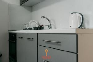 - une cuisine avec un évier et un comptoir dans l'établissement Apartman Wagner, à Bugojno