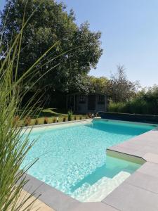a swimming pool in a yard with grass at LE CLOS DU MONTYS in Louveigné