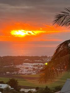 un coucher de soleil sur l'océan avec un palmier dans l'établissement Villa Nirvana, à Saint-Paul