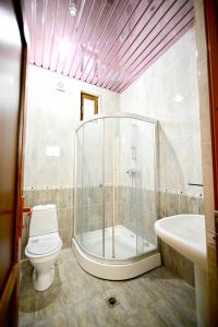 ein Bad mit einer Dusche, einem WC und einem Waschbecken in der Unterkunft Sevan Island Cottage in Sewan